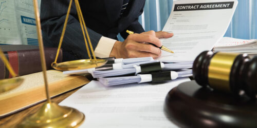 8 Tips to Choose the Right Lawyer for a Dog Bite Case