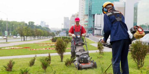 Electric or gas trimmers – Which is the best buy