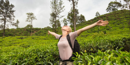 Fun activities to do before the end of summer