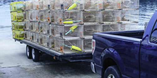 How to buy a dump trailer