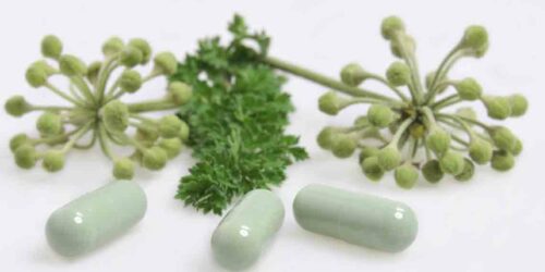 Things to Know While Choosing Natural Thyroid Supplements