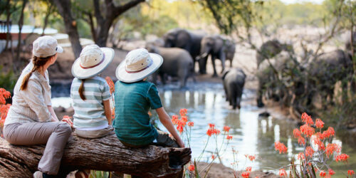 Top 11 Luxury African Safari Lodges