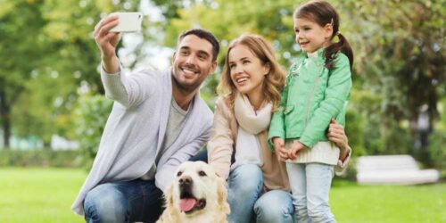 Top pet insurance covers preferred by pet owners