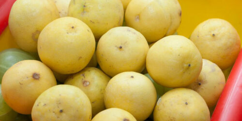 Ways to Bounce Back with These Impotence Home Remedies