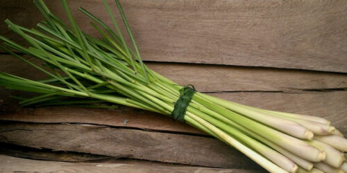 17 Powerful Health Benefits of Lemongrass